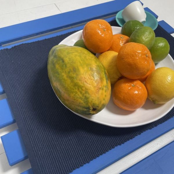 Place Mat Cotton Rib Dozen Pack - Indigo - Image 5