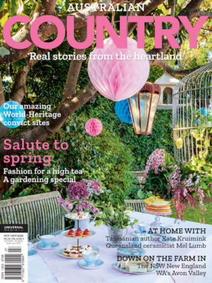 Country Magazine-Carnival Homewares by Indah Island