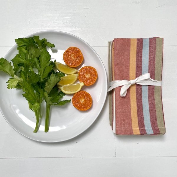 Carnival's Cotton Napkins - Terracotta